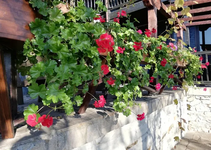 Trifon Zarezan Family 3*